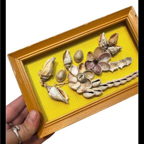 Vintage Aloha Hawaii Shell Collection Of The Pacific Framed Shell Folk Art - Picture 2 of 3